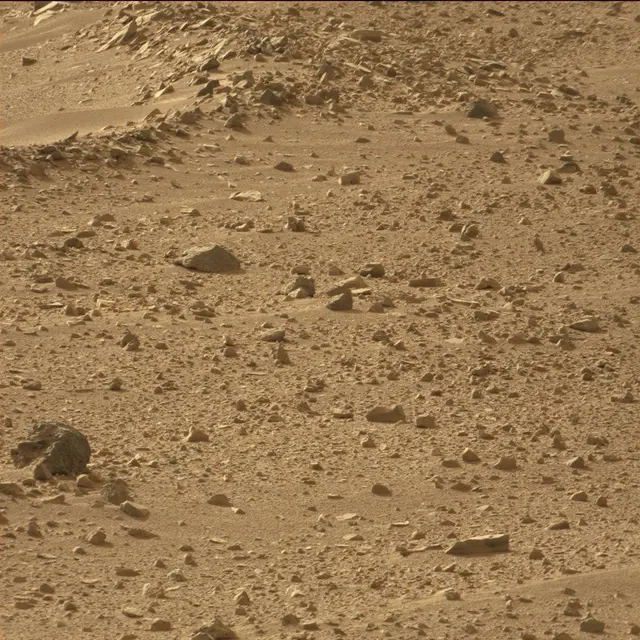 Sol 50: Mast Camera (Mastcam)