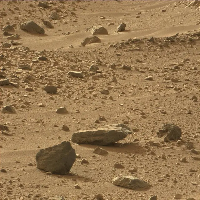 Sol 50: Mast Camera (Mastcam)