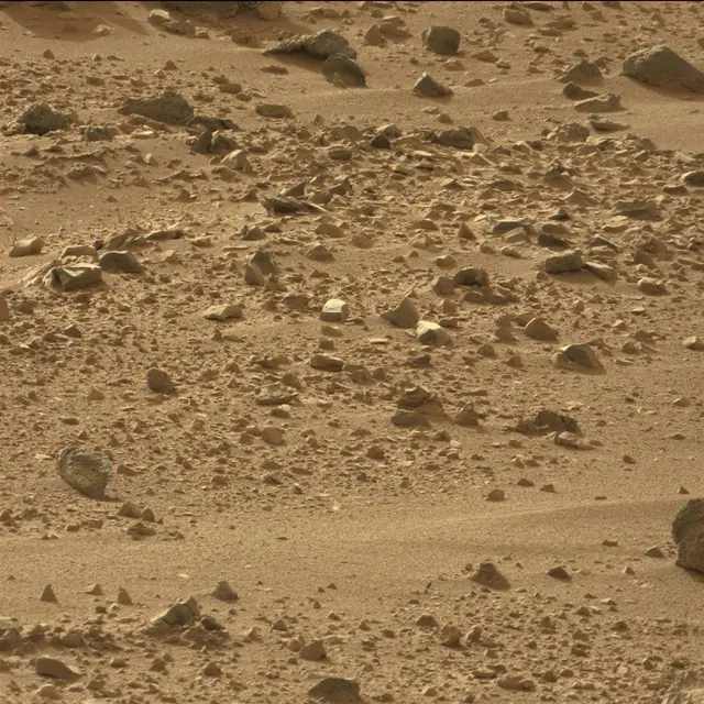Sol 50: Mast Camera (Mastcam)