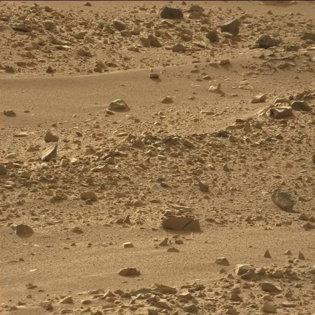 Sol 50: Mast Camera (Mastcam)