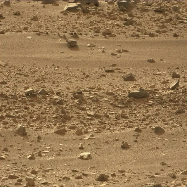 Sol 50: Mast Camera (Mastcam)
