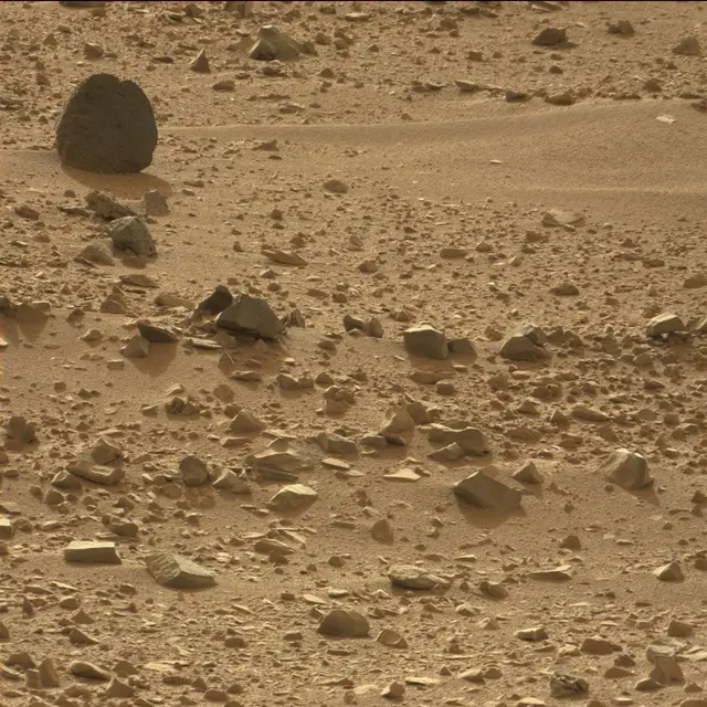 Sol 50: Mast Camera (Mastcam)