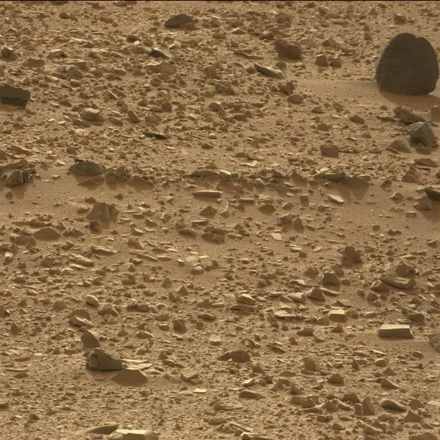 Sol 50: Mast Camera (Mastcam)
