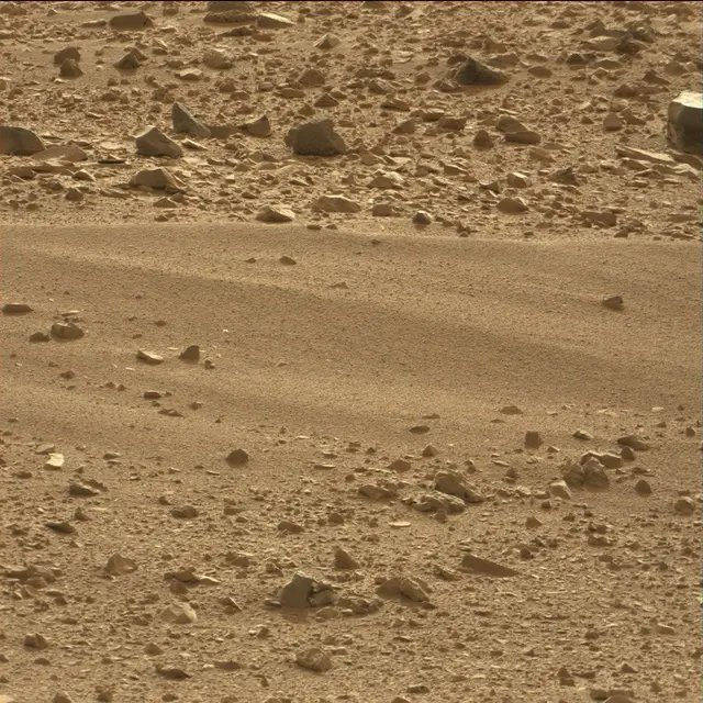 Sol 50: Mast Camera (Mastcam)