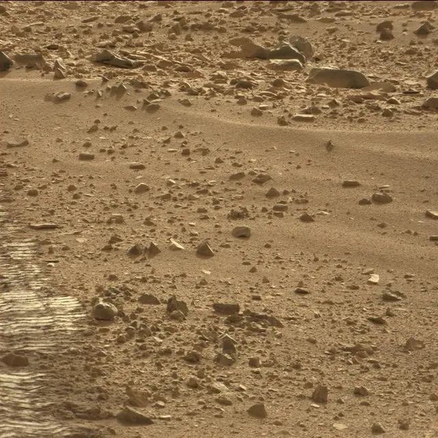 Sol 50: Mast Camera (Mastcam)