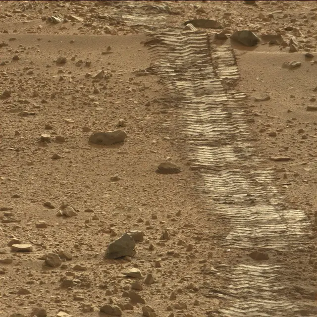 Sol 50: Mast Camera (Mastcam)