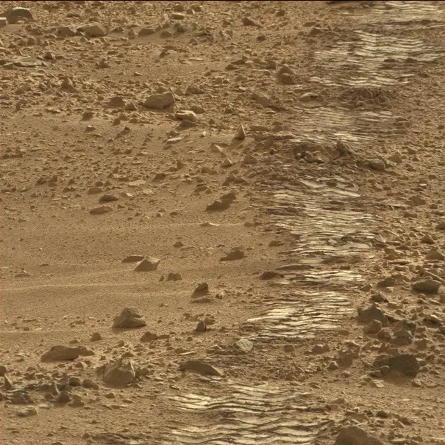 Sol 50: Mast Camera (Mastcam)