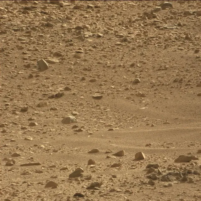 Sol 50: Mast Camera (Mastcam)