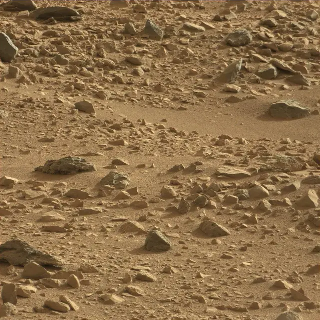 Sol 50: Mast Camera (Mastcam)