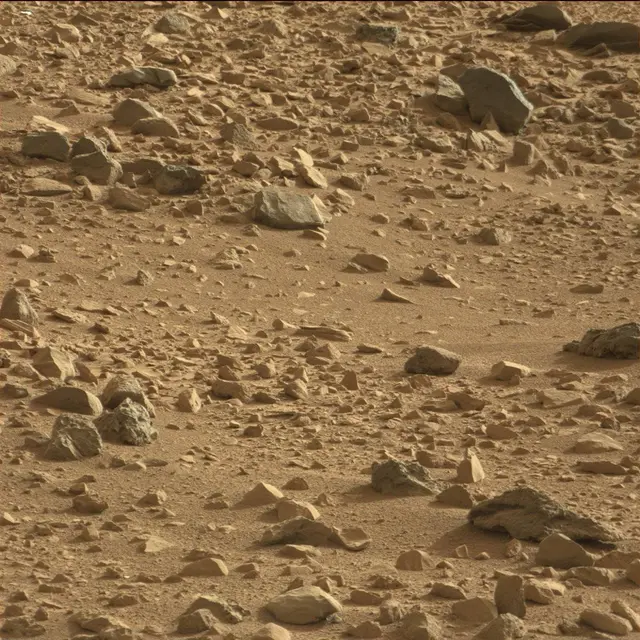 Sol 50: Mast Camera (Mastcam)