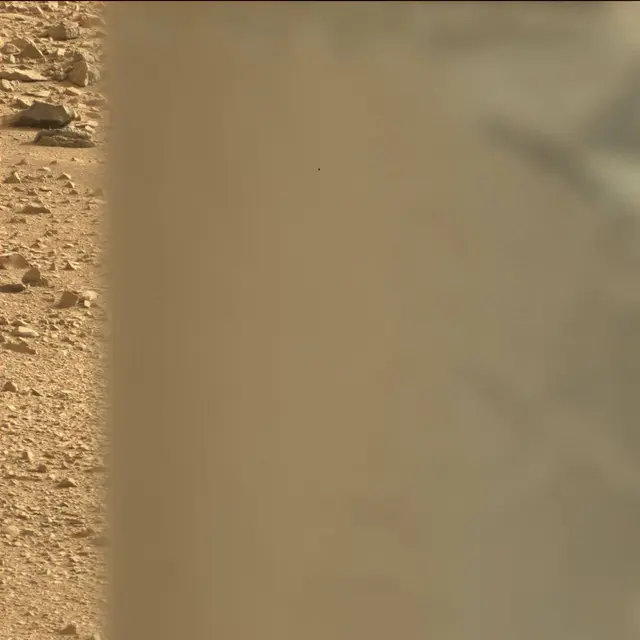 Sol 50: Mast Camera (Mastcam)