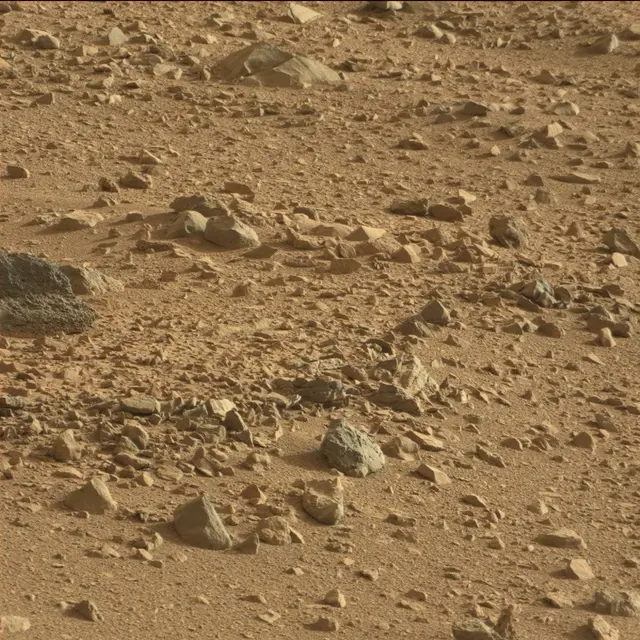 Sol 50: Mast Camera (Mastcam)