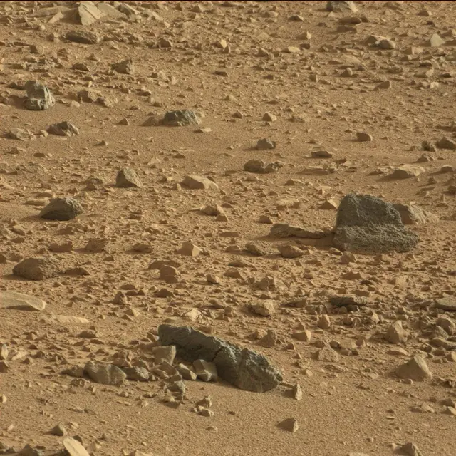 Sol 50: Mast Camera (Mastcam)