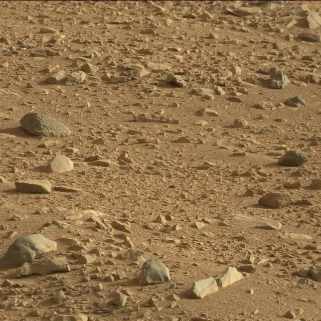 Sol 50: Mast Camera (Mastcam)