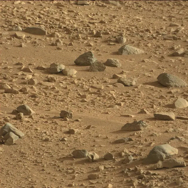 Sol 50: Mast Camera (Mastcam)