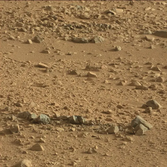 Sol 50: Mast Camera (Mastcam)
