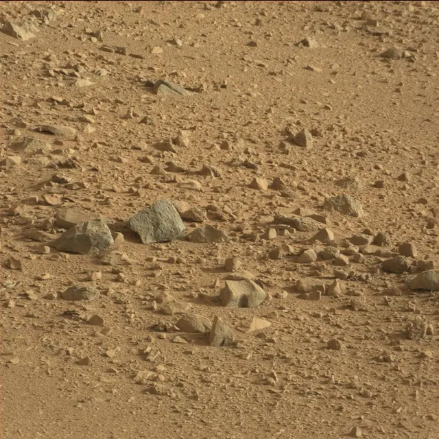Sol 50: Mast Camera (Mastcam)
