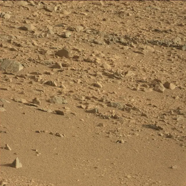 Sol 50: Mast Camera (Mastcam)