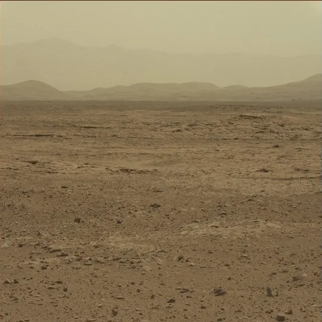 Sol 51: Mast Camera (Mastcam)