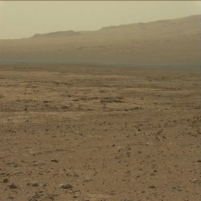 Sol 51: Mast Camera (Mastcam)