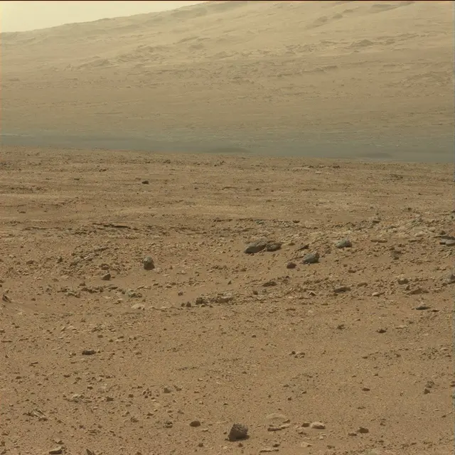 Sol 51: Mast Camera (Mastcam)