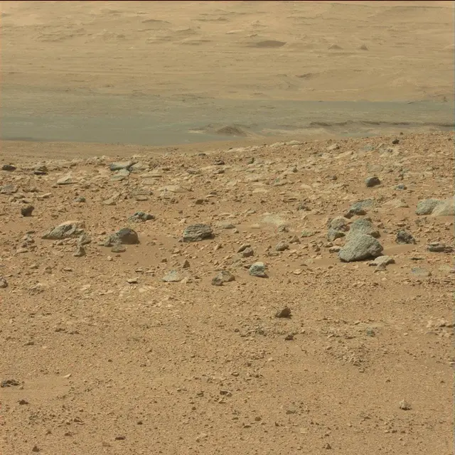 Sol 51: Mast Camera (Mastcam)