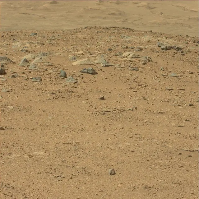 Sol 51: Mast Camera (Mastcam)