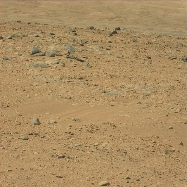 Sol 51: Mast Camera (Mastcam)