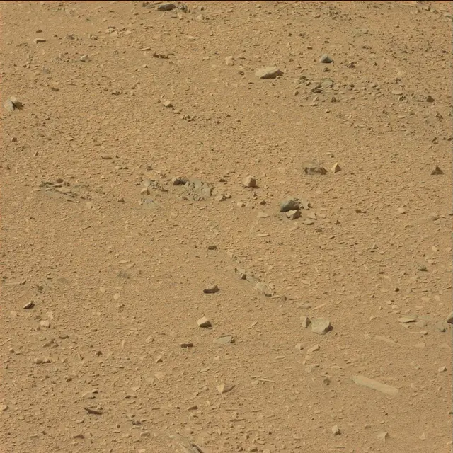 Sol 51: Mast Camera (Mastcam)