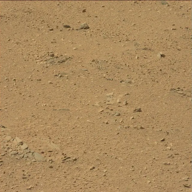Sol 51: Mast Camera (Mastcam)