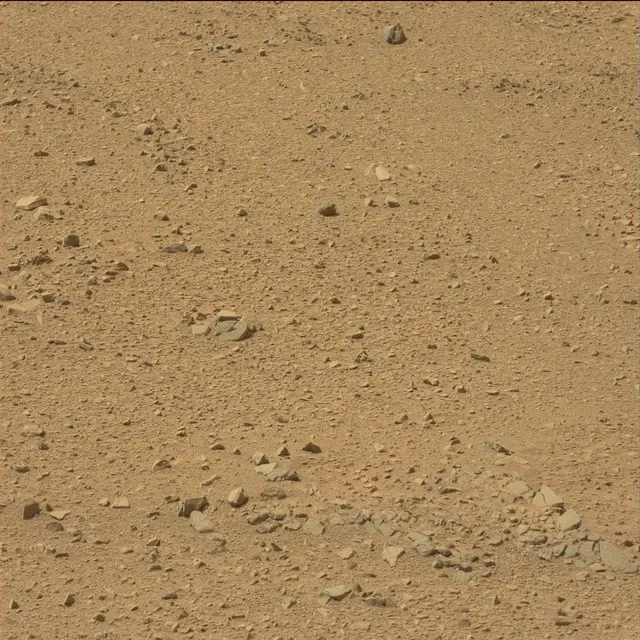 Sol 51: Mast Camera (Mastcam)
