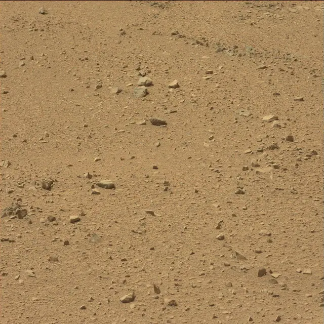 Sol 51: Mast Camera (Mastcam)