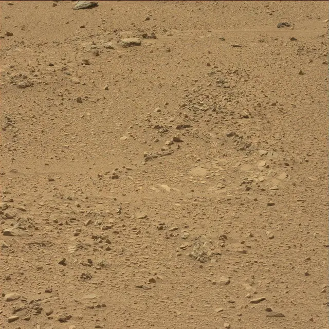 Sol 51: Mast Camera (Mastcam)