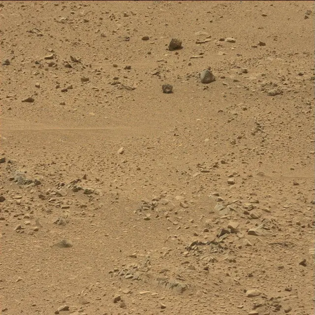 Sol 51: Mast Camera (Mastcam)