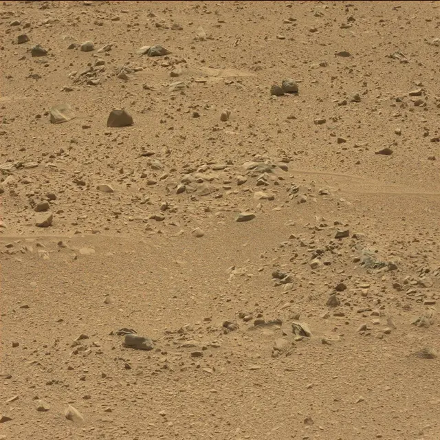 Sol 51: Mast Camera (Mastcam)
