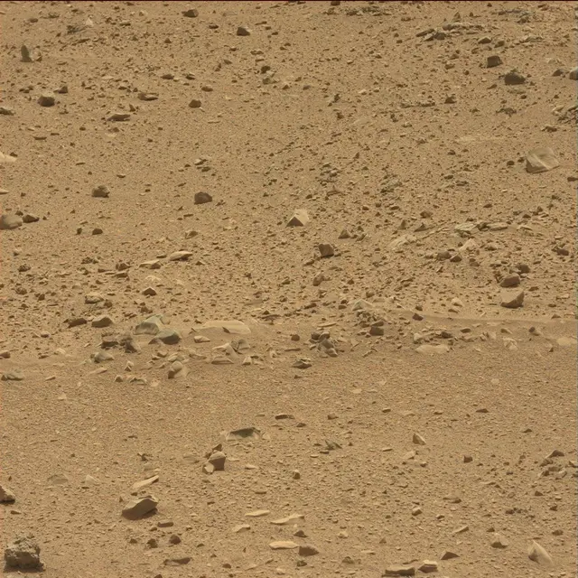 Sol 51: Mast Camera (Mastcam)