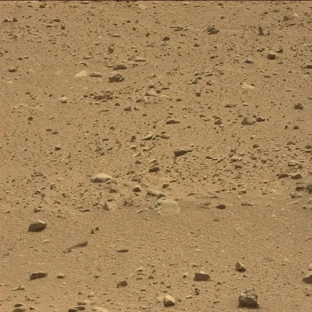 Sol 51: Mast Camera (Mastcam)