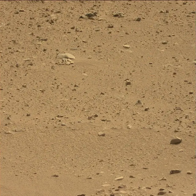 Sol 51: Mast Camera (Mastcam)