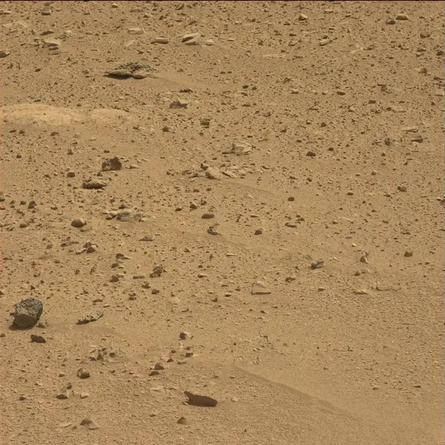 Sol 51: Mast Camera (Mastcam)