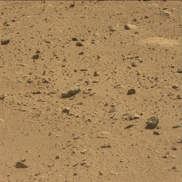 Sol 51: Mast Camera (Mastcam)
