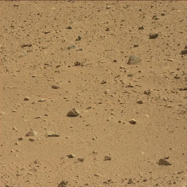 Sol 51: Mast Camera (Mastcam)