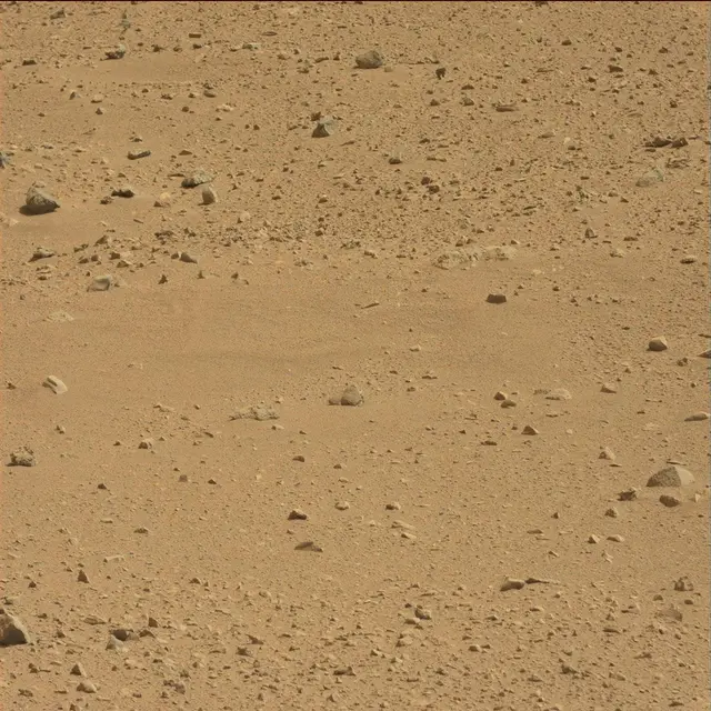 Sol 51: Mast Camera (Mastcam)