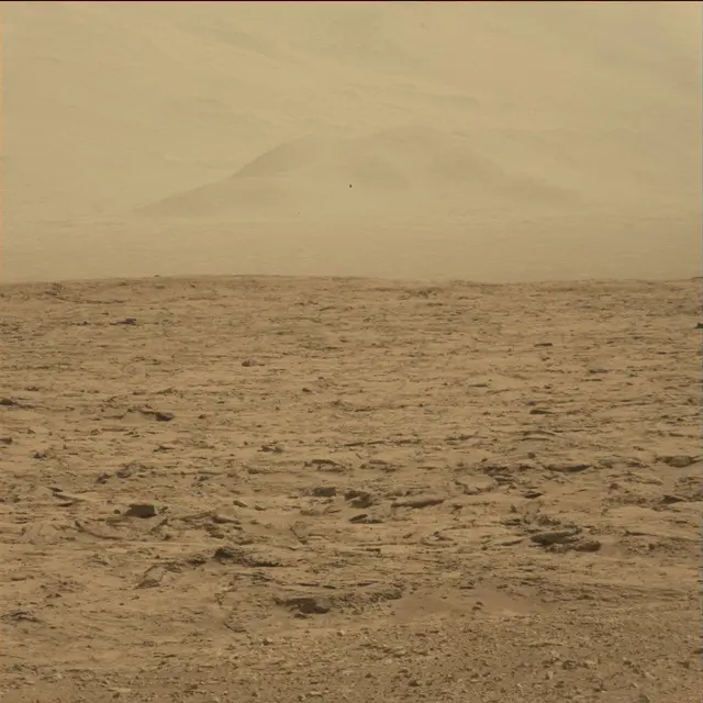 Sol 51: Mast Camera (Mastcam)