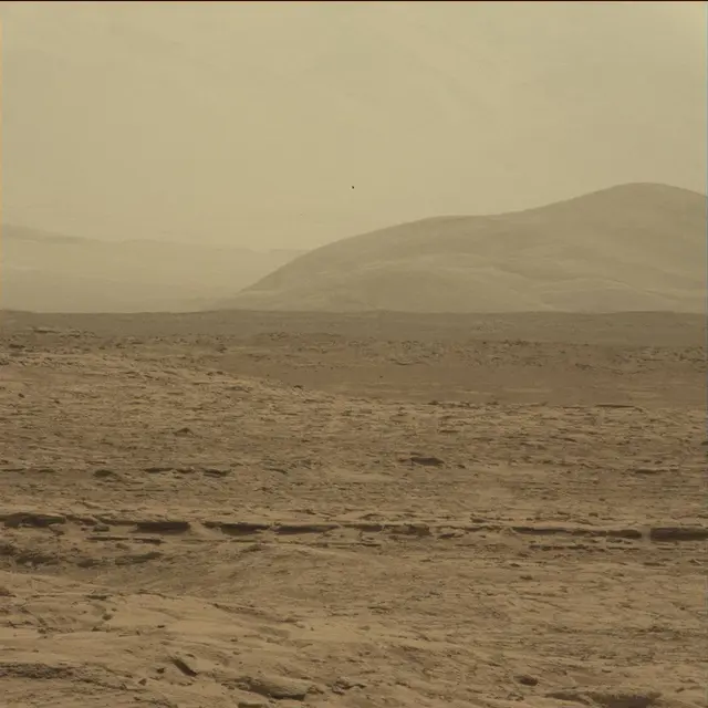 Sol 51: Mast Camera (Mastcam)