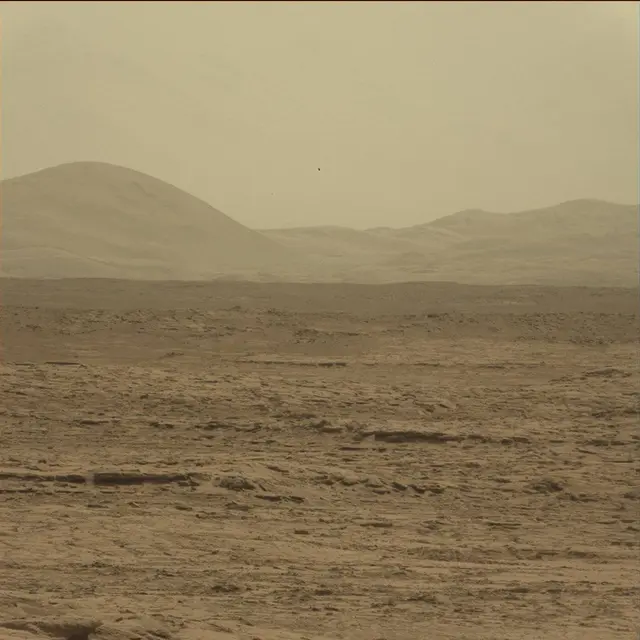Sol 51: Mast Camera (Mastcam)