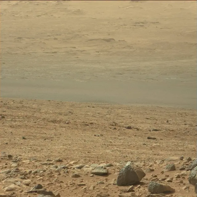 Sol 51: Mast Camera (Mastcam)