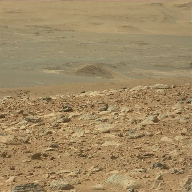 Sol 51: Mast Camera (Mastcam)