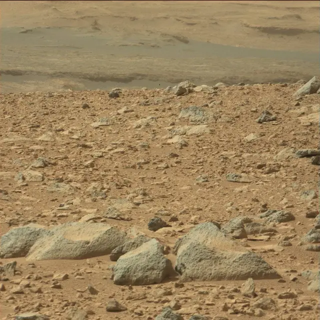 Sol 51: Mast Camera (Mastcam)