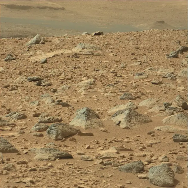 Sol 51: Mast Camera (Mastcam)