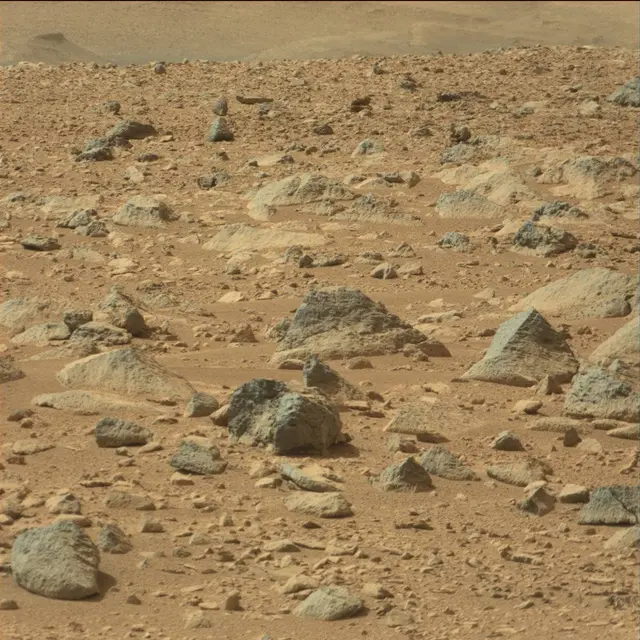 Sol 51: Mast Camera (Mastcam)